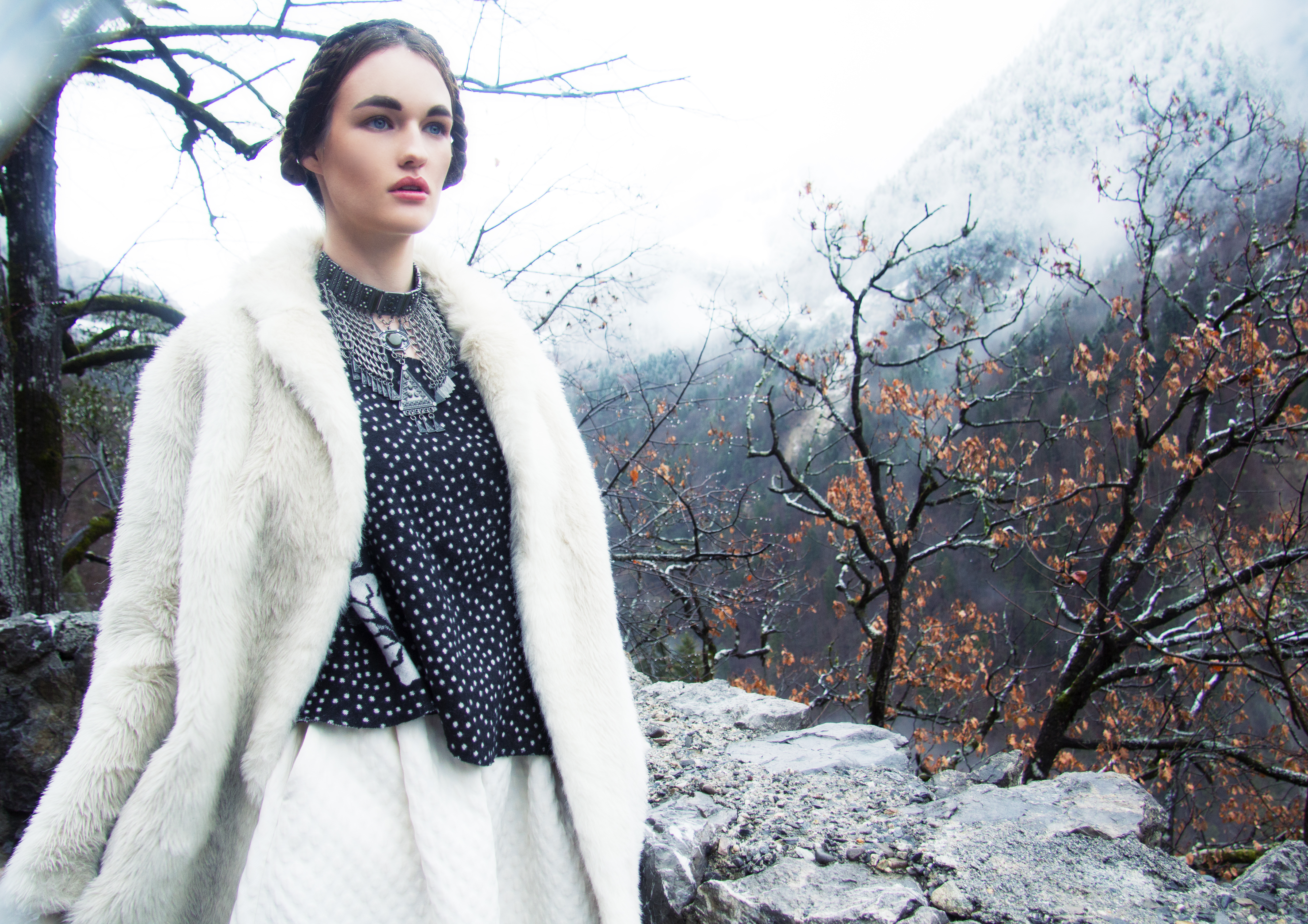 © 2017 Aliona Kuznetsova